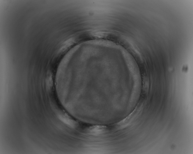 X0000101710128200808071232