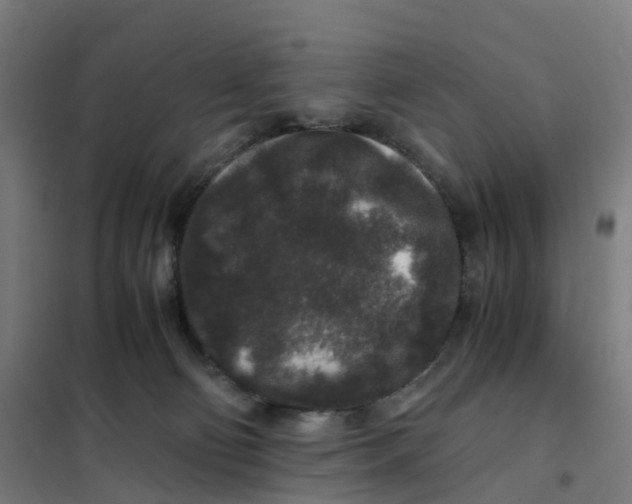 X0000101710130200808071232