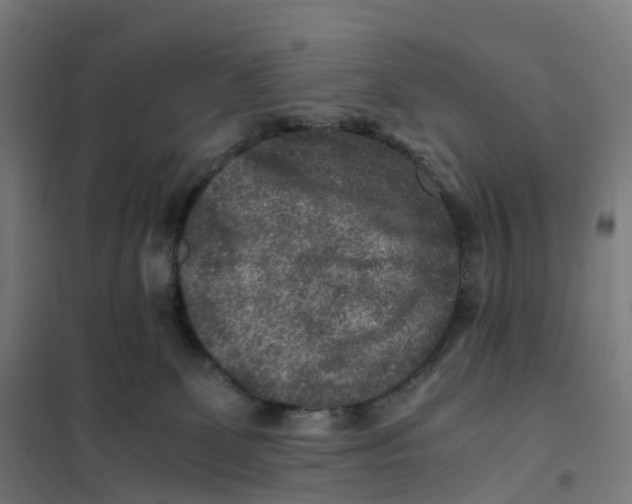 X0000101710131200808071232