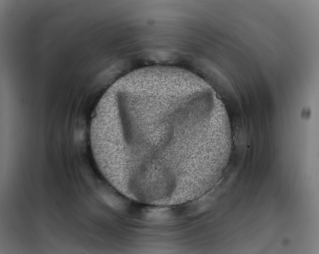 X0000101710132200808071232
