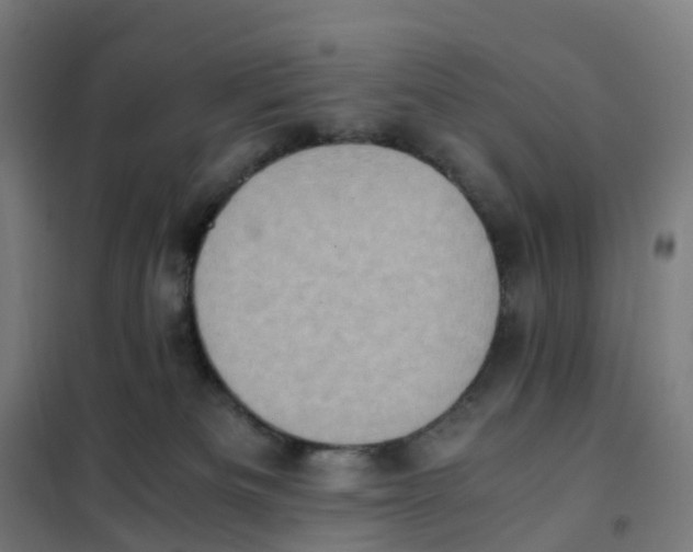X0000101710133200808071232