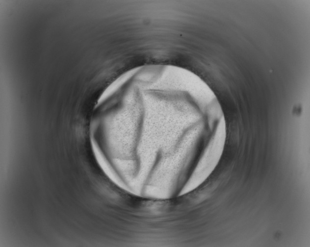 X0000101710135200808071232