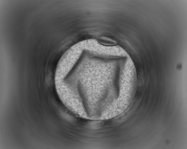 X0000101710136200808071232