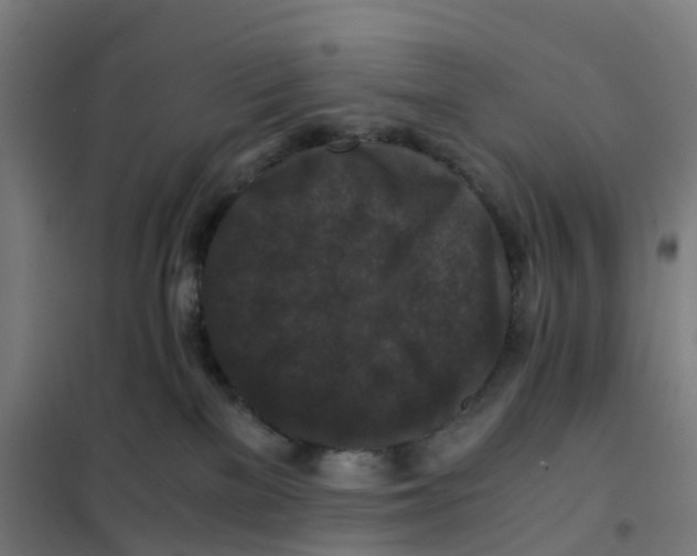 X0000101710137200808071232