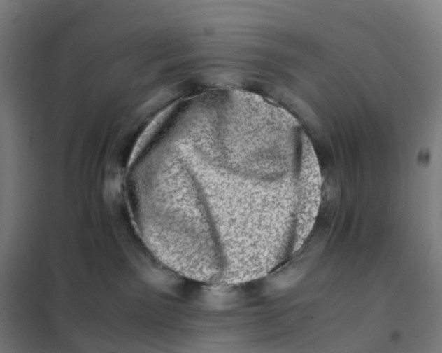X0000101710141200808071232