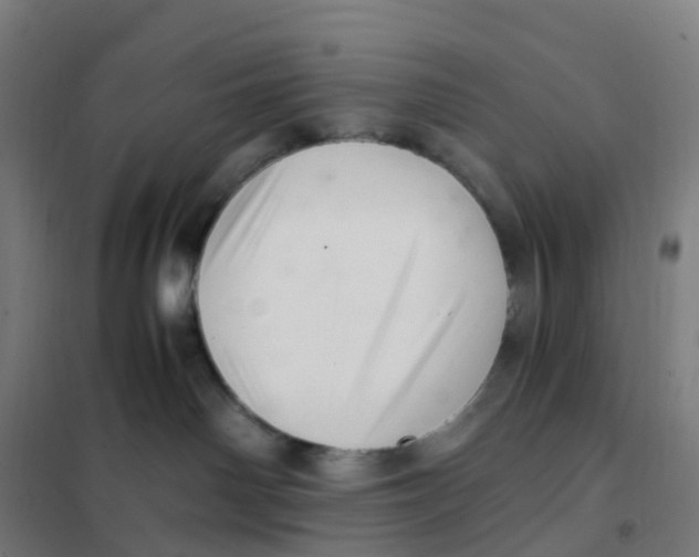 X0000101710142200808071232