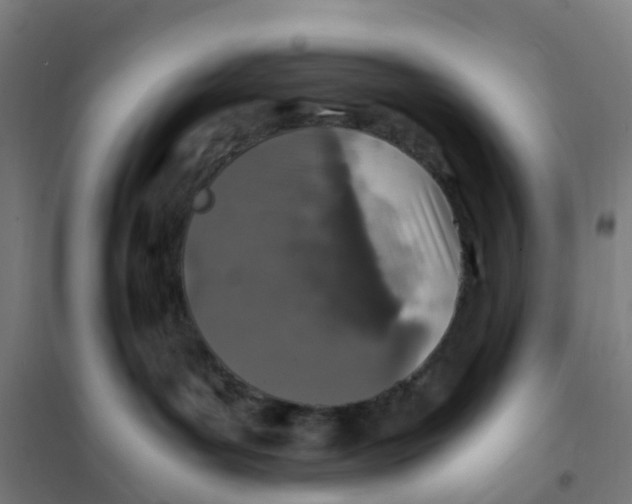 X0000101710143200808071232