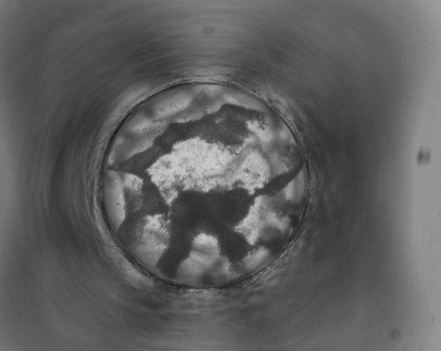 X0000101710145200808071231