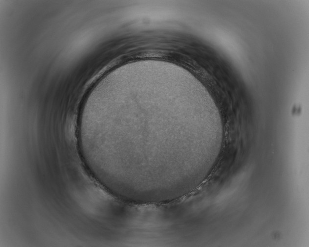 X0000101710146200808071231