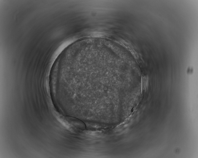 X0000101710147200808071231
