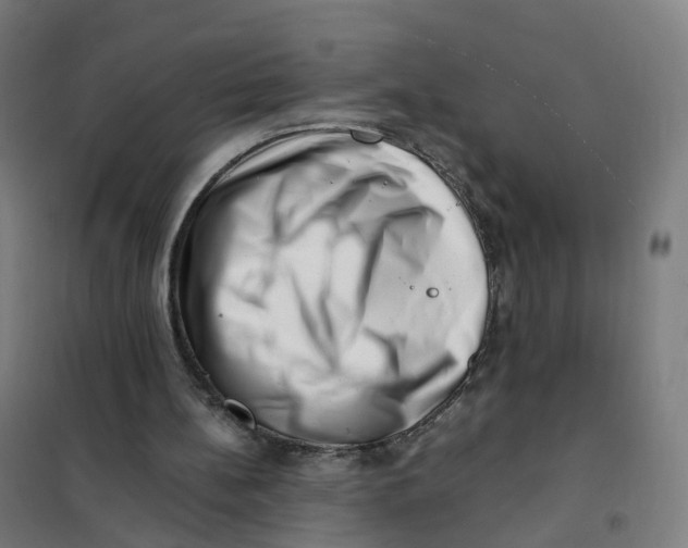 X0000101710148200808071231
