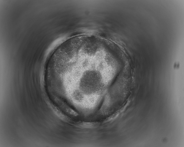 X0000101710149200808071231