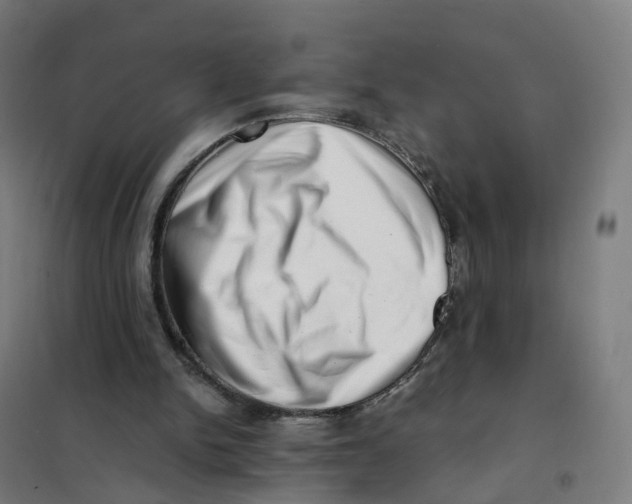 X0000101710150200808071231