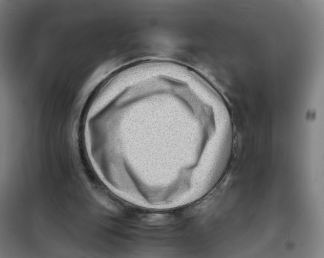 X0000101710151200808071231