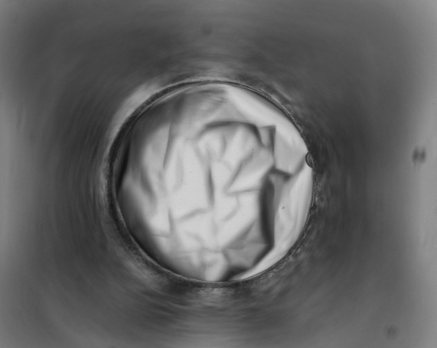 X0000101710152200808071231