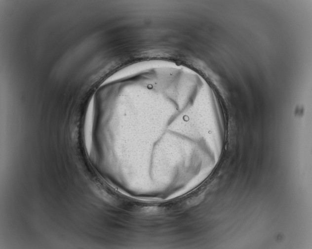 X0000101710153200808071231