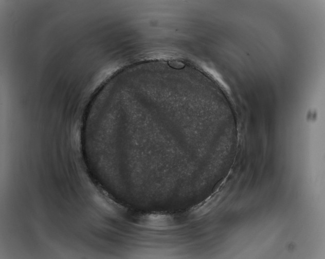 X0000101710154200808071231