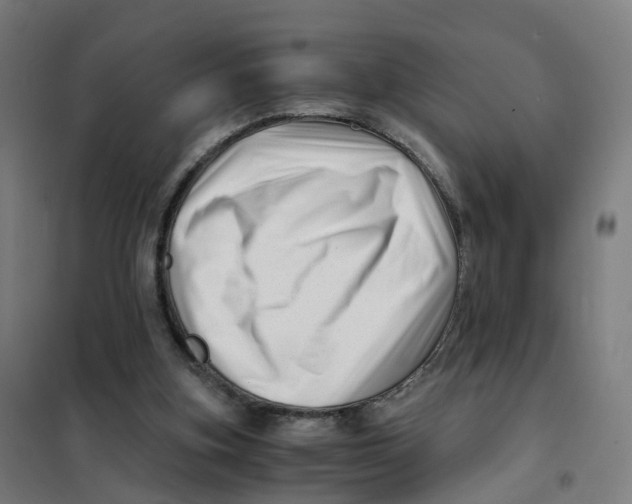 X0000101710155200808071231