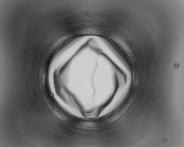 X0000101710157200808071231