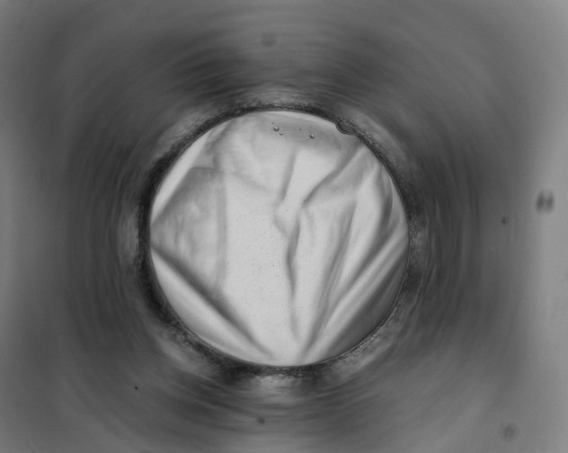 X0000101710158200808071231