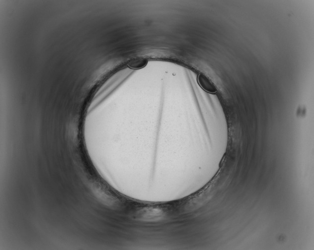 X0000101710159200808071231