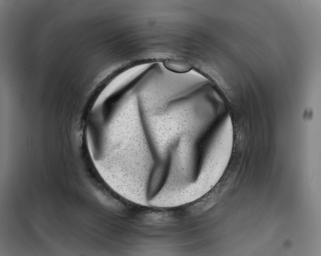 X0000101710160200808071231