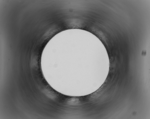 X0000101710162200808071231