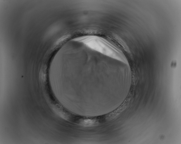 X0000101710163200808071231