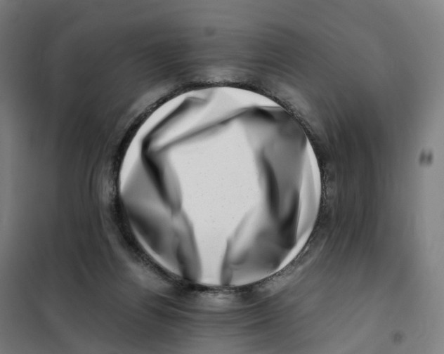 X0000101710164200808071231