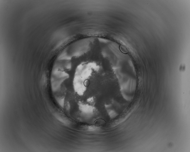 X0000101710165200808071231
