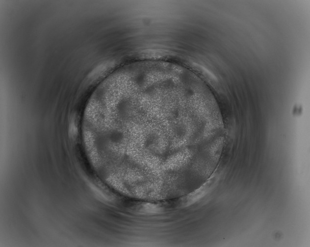 X0000101710166200808071231