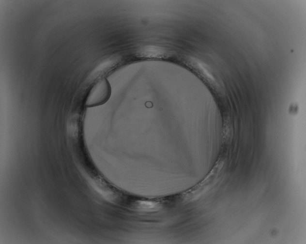 X0000101710167200808071231