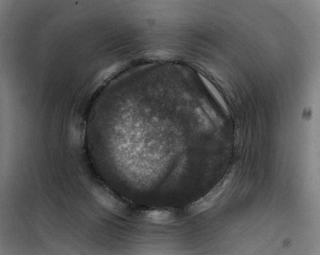 X0000101710168200808071231