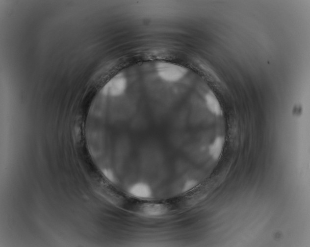 X0000101710169200808071231