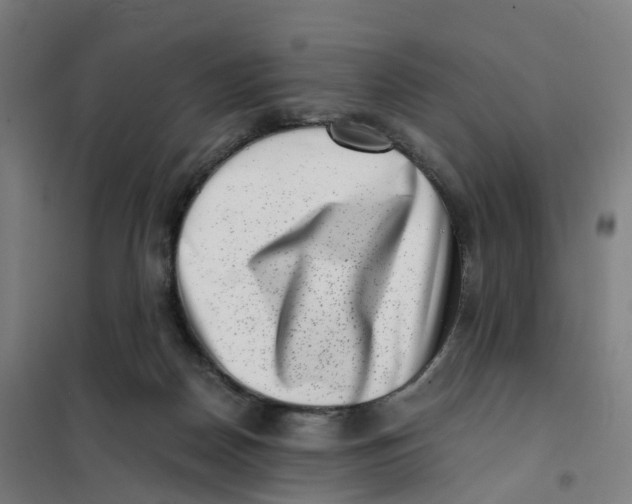 X0000101710170200808071231