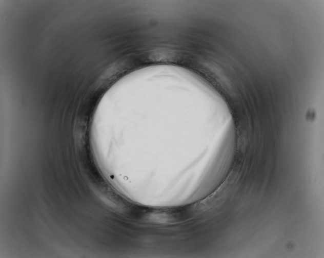 X0000101710171200808071231