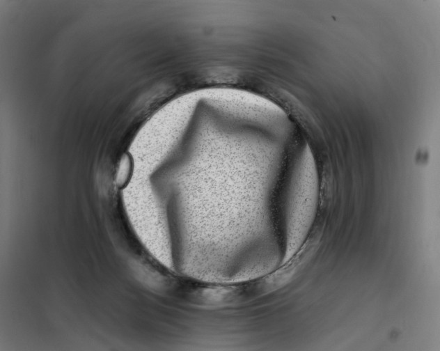 X0000101710172200808071231