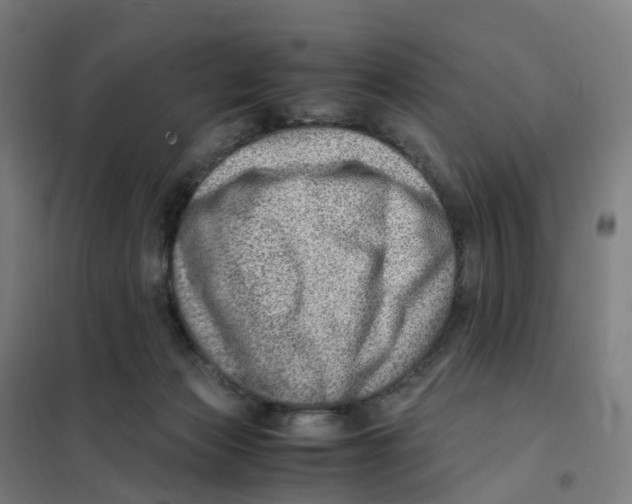 X0000101710173200808071231