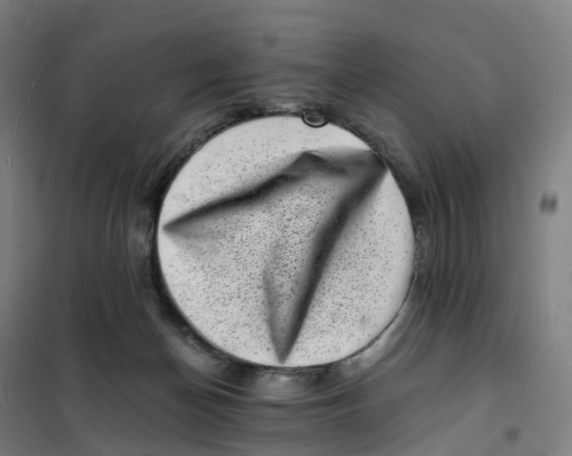 X0000101710174200808071232