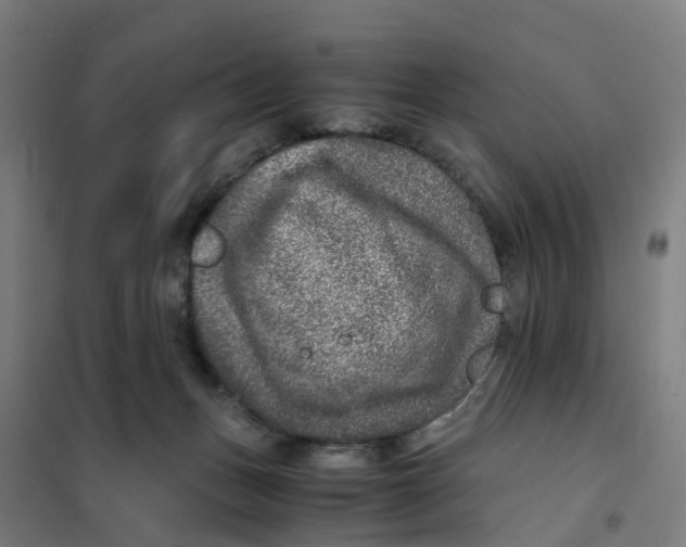 X0000101710175200808071232