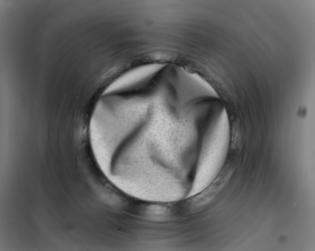X0000101710176200808071232