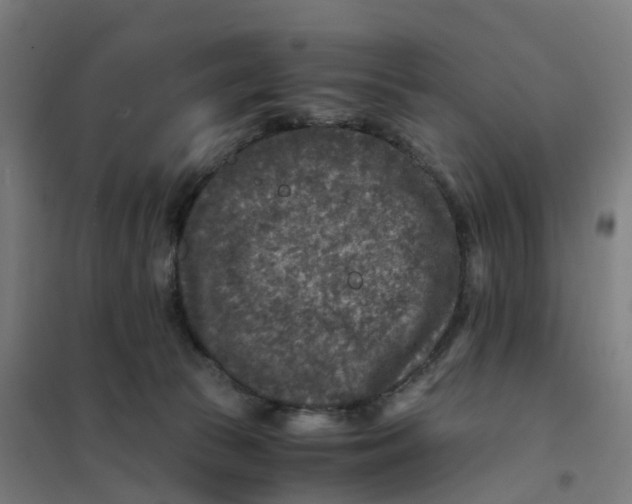 X0000101710177200808071232