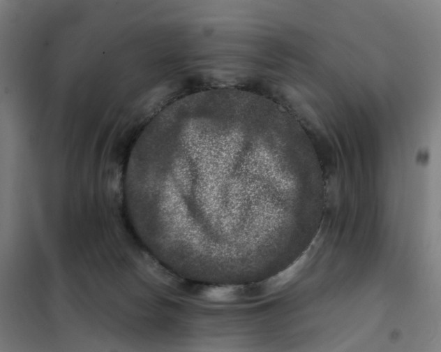 X0000101710178200808071232
