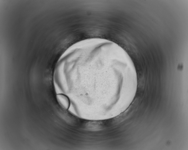X0000101710179200808071232