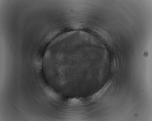X0000101710180200808071232