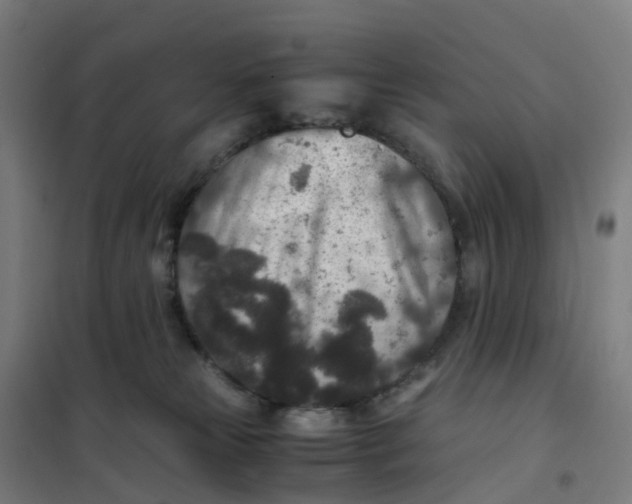 X0000101710181200808071232