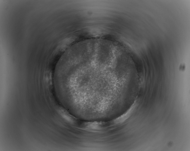 X0000101710182200808071232
