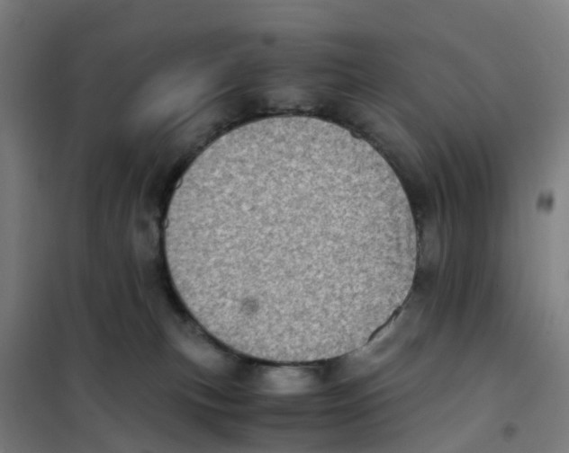X0000101710183200808071232