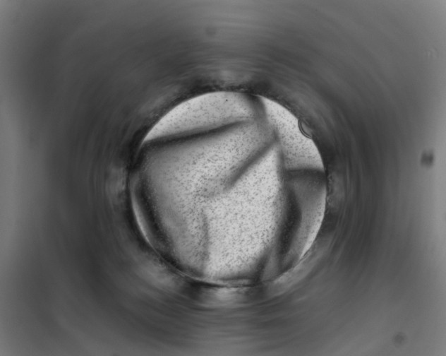 X0000101710184200808071232
