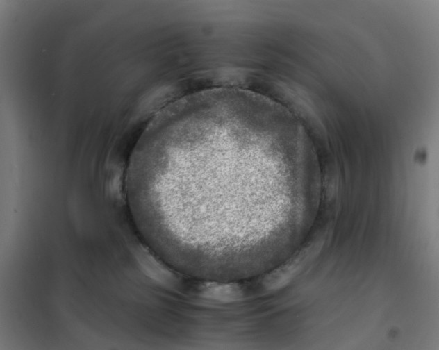 X0000101710185200808071232
